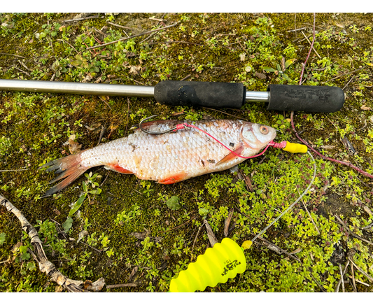 Black Cat Dead Bait Puncher 40cm
