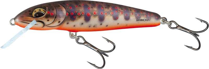Salmo Minnow Freshwater Minnow