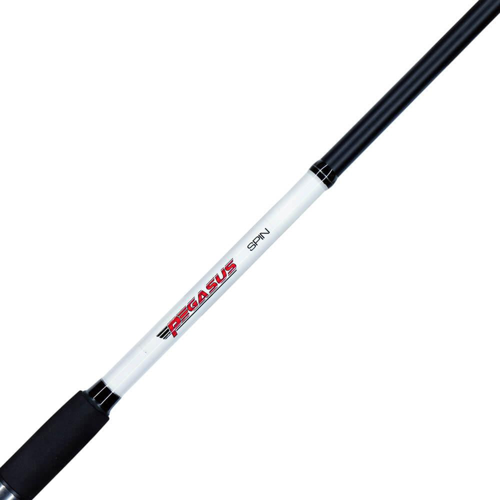 Axia Pegasus Spin