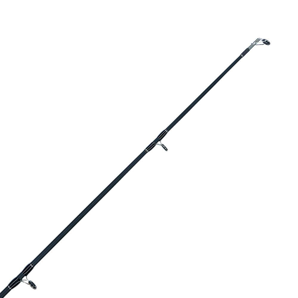 Axia Pegasus Beach & Pier 10′ 3-6oz