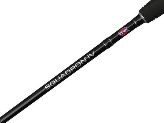 Penn Squadron IV Labrax Spin