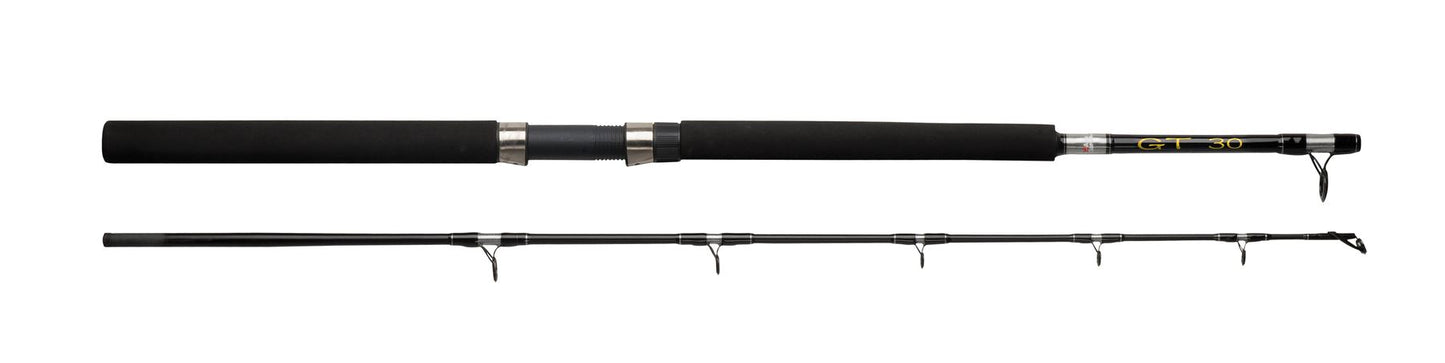 Abu Garcia GT Boat Rod 602 30LBS