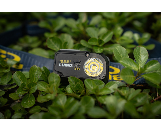Black Cat Lumo Cat 300 Headtorch