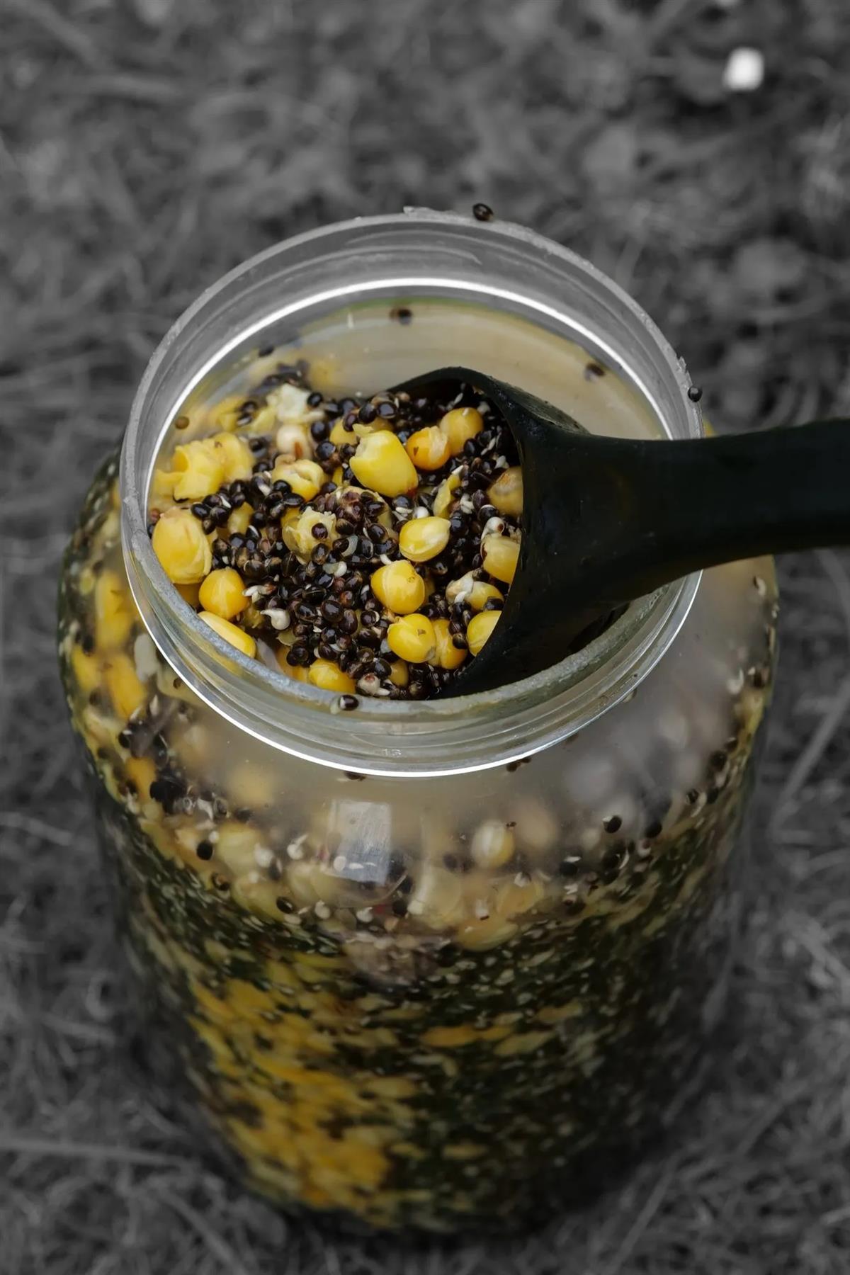 Parker Baits Shelf Life Particle Hemp & Maize Spod Mix