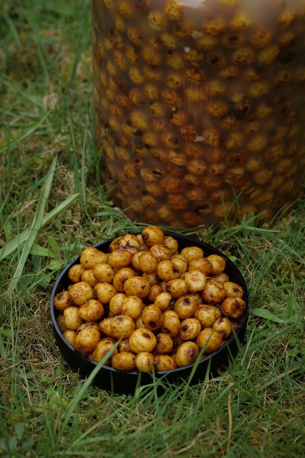 Parker Baits Shelf Life Particle NossaNuts Tiger Nuts