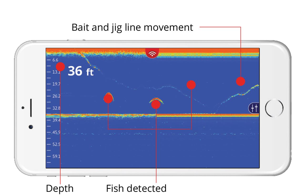 Lowrance Fish Hunter Pro //