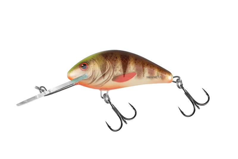Salmo Hornet Floating Crankbait 6cm