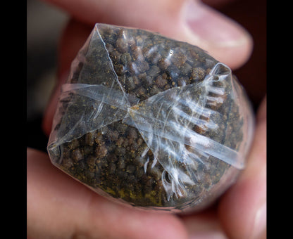 Avid Transfer Solid PVA Bag