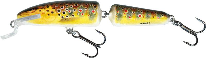 Salmo Fanatic Floating