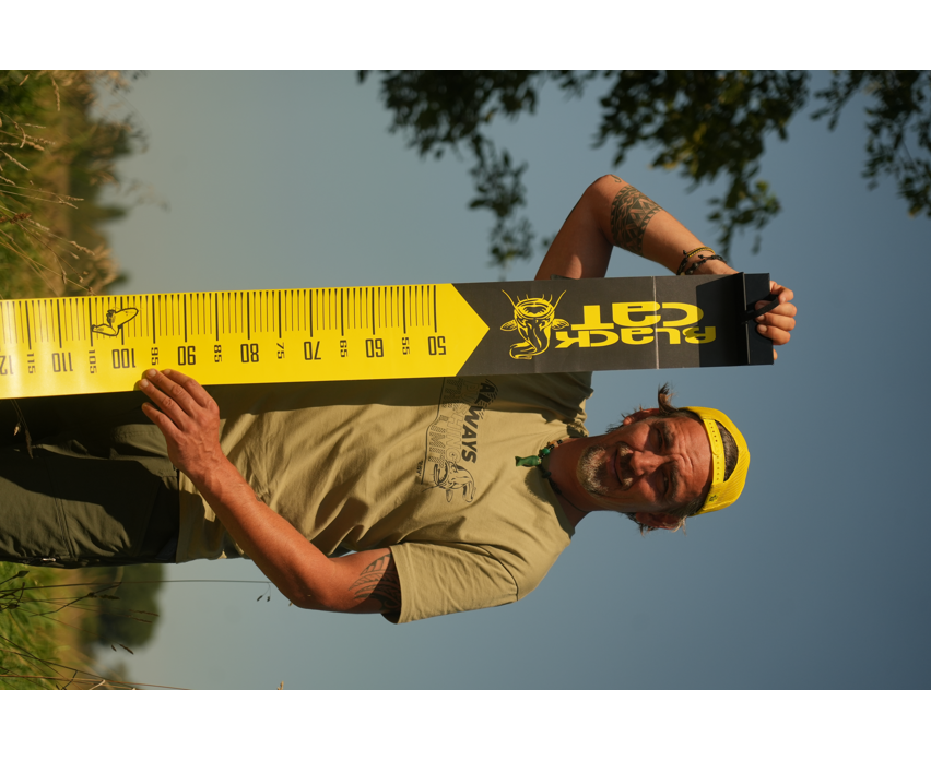 Black Cat Cat Measure