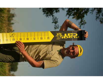 Black Cat Cat Measure