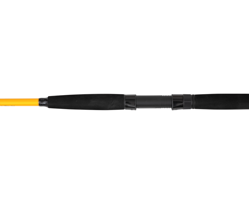 Black Cat Black Passion G2 Spin