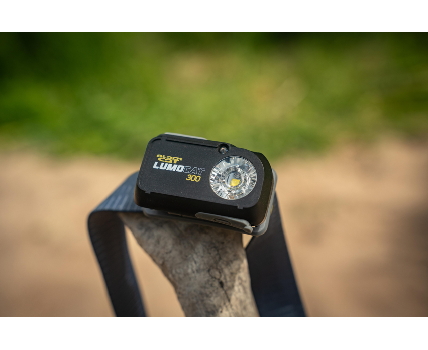 Black Cat Lumo Cat 300 Headtorch
