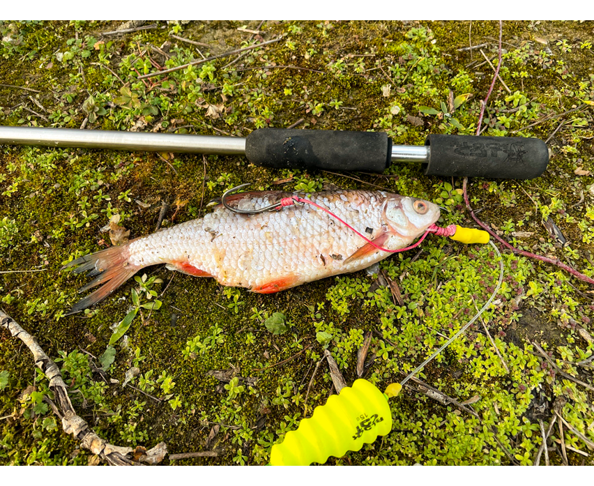 Black Cat  Dead Bait Puncher 40cm