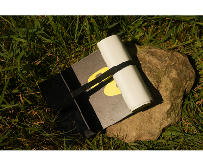 Black Cat Cat Measure