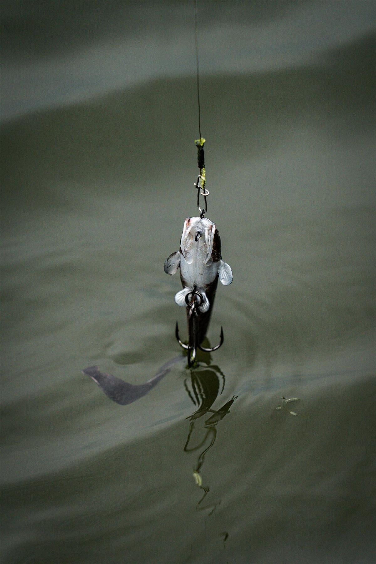Fox Rage Ultra Realistic Replicant Natural Catfish