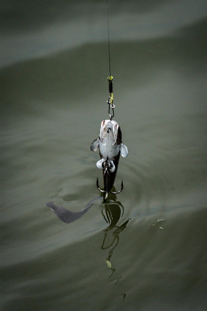 Fox Rage Ultra Realistic Replicant Natural Catfish