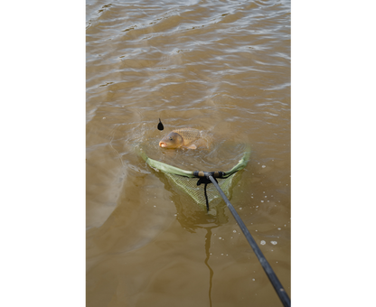 Korum Power Folding Triangle Latex