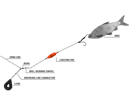 Black Cat Lighting Rig