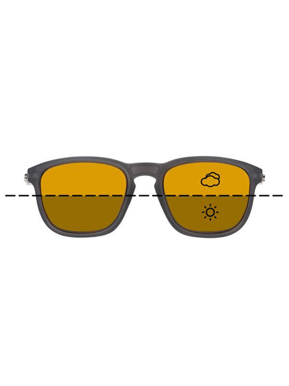 Fortis Eyewear Strokes