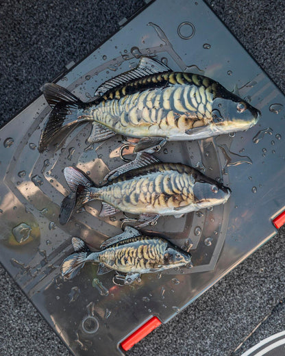 Fox Rage Ultra-Realistic Replicant Mirror Carp