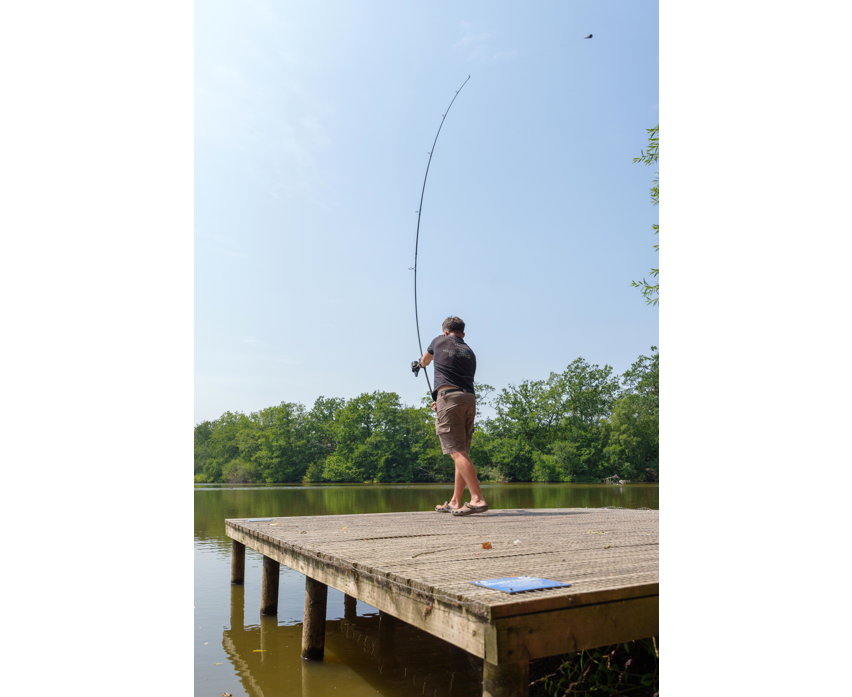 Avid Ascent Rods