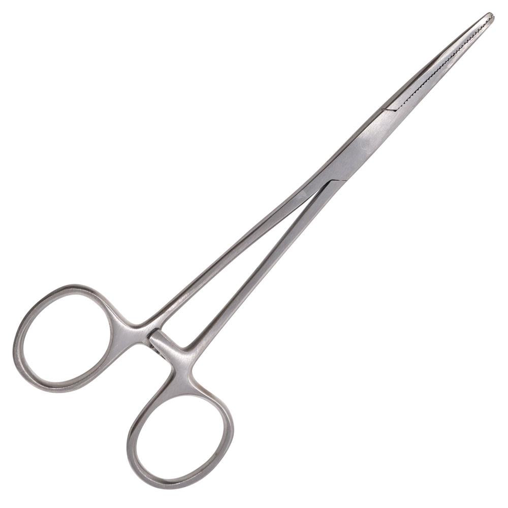Axia Forceps Stainless