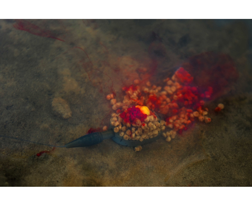 Sonubaits Lava Rocks