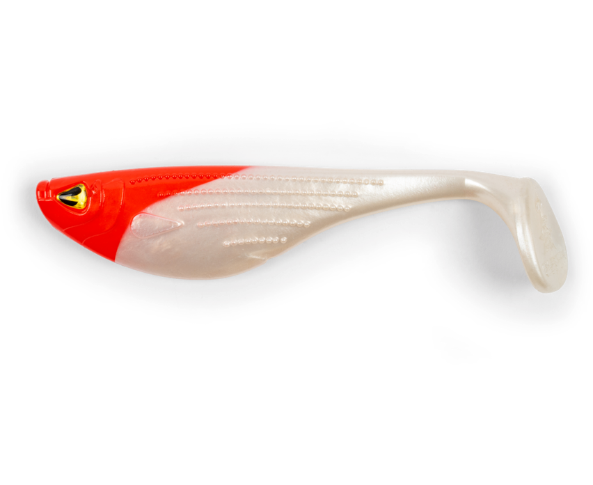 Black Cat Big Hit Shad