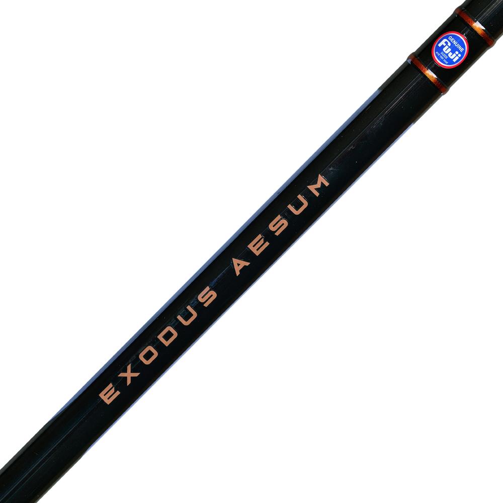 TronixPro Exodus Aesum 4.20m 100-300g Tubular Tip