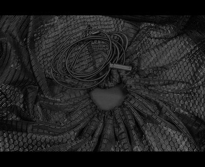 Black Cat Baitfish Tunnel