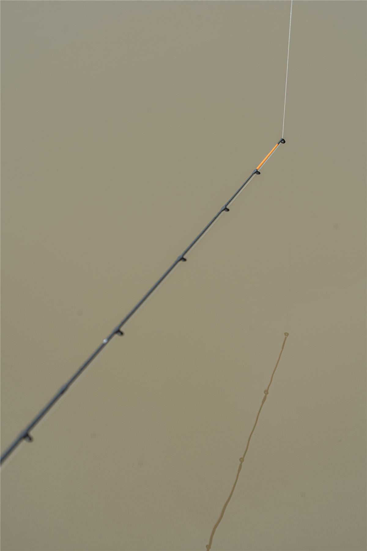Korum Phase 1 Rod