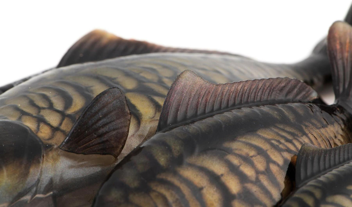 Fox Rage Ultra-Realistic Replicant Mirror Carp