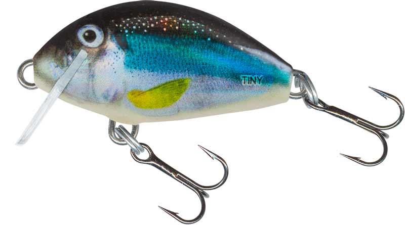 Salmo Tiny Bug Sinking