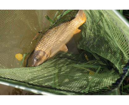 Korum Power Folding Triangle Latex