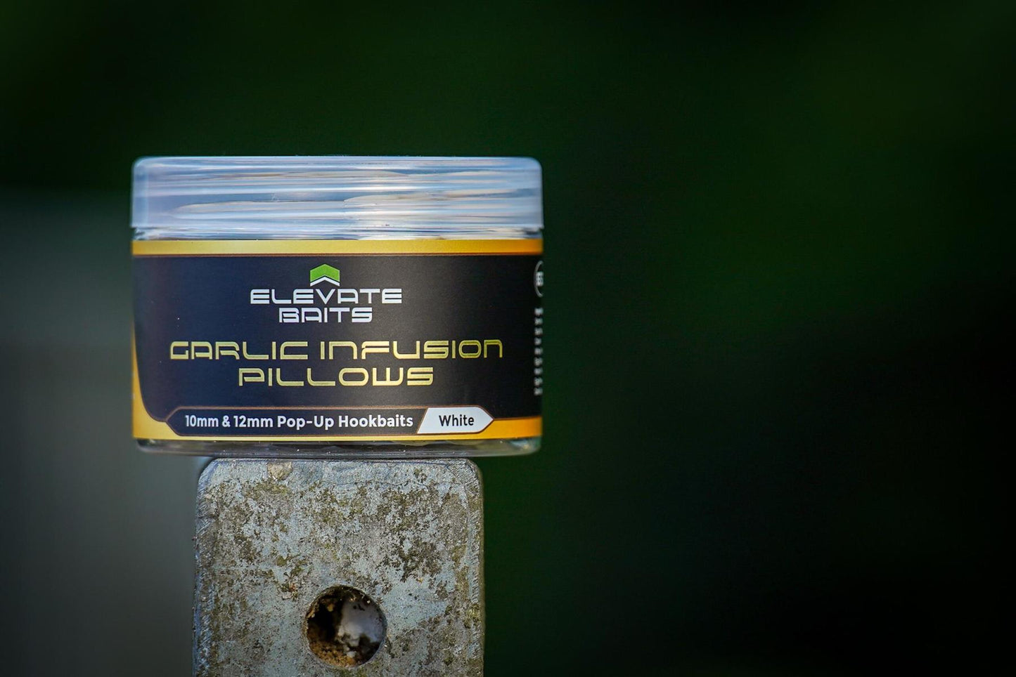 Elevate Baits Garlic Infusion Pillows 10mm & 12mm Pop Up Hookbaits White