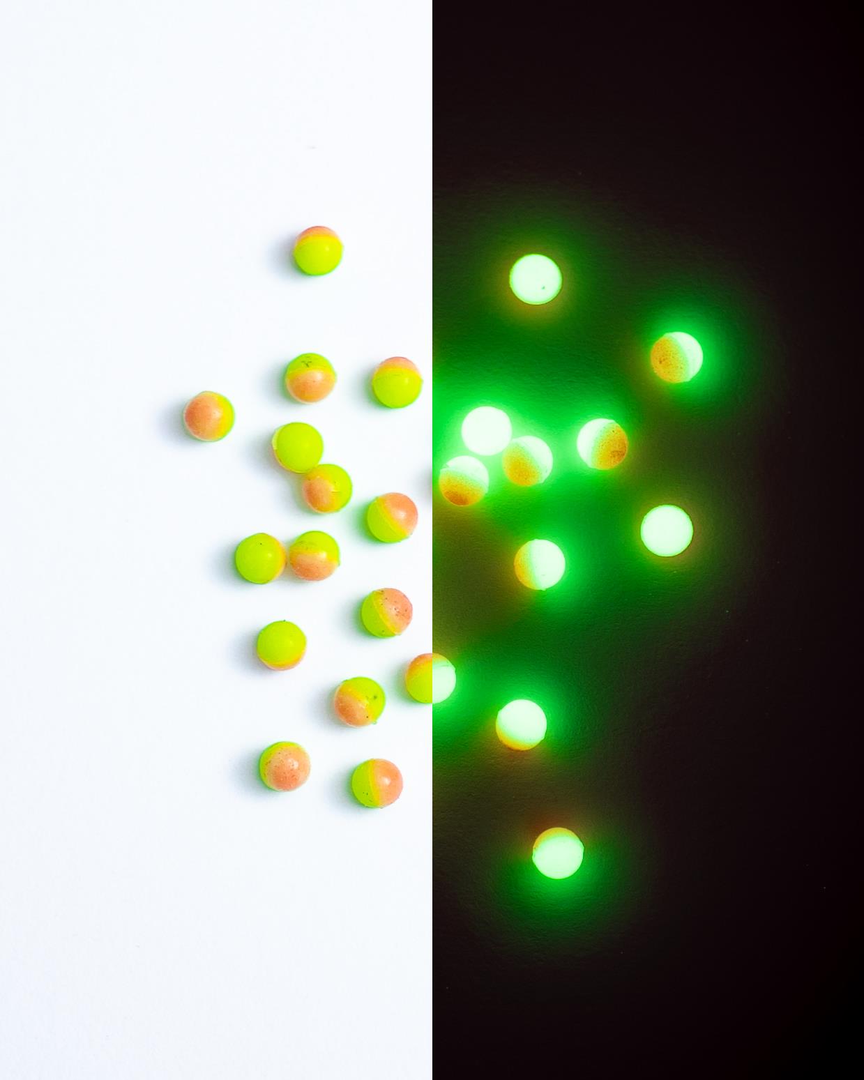 1100901_7 1100901_7