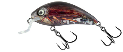 Salmo Rattlin' Hornet Shallow