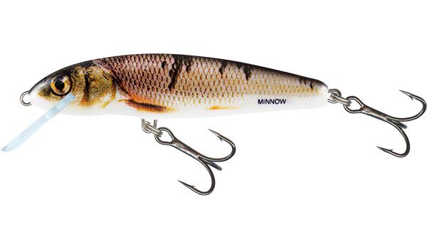 Salmo Minnow Floating Crankbait 5cm