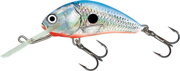 Salmo Hornet Floating 6cm