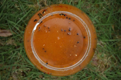 Parker Baits Shelf Life Particle Chilli Hemp