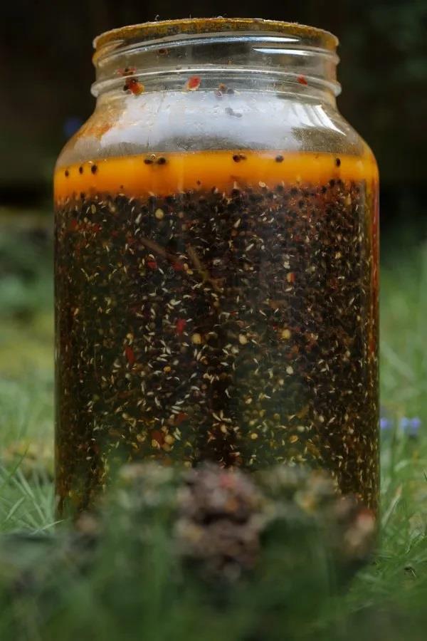 Parker Baits Shelf Life Particle Chilli Hemp