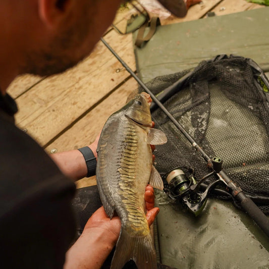 One More Cast FC Feeder Combo