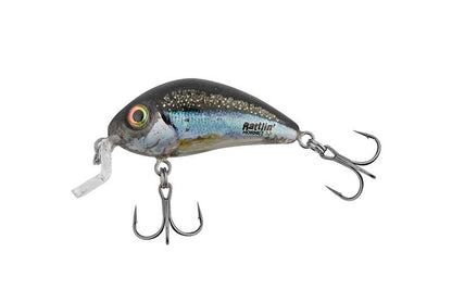 Salmo Rattlin' Hornet Shallow