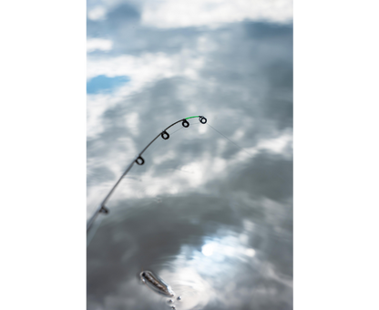 Zebco Target Fish Heavy Feeder Combo