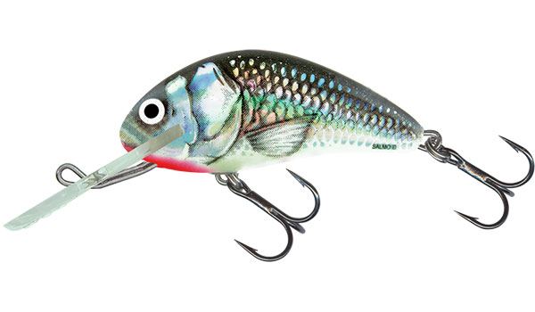 Salmo Hornet Floating 6cm