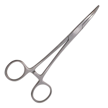 Axia Forceps Stainless