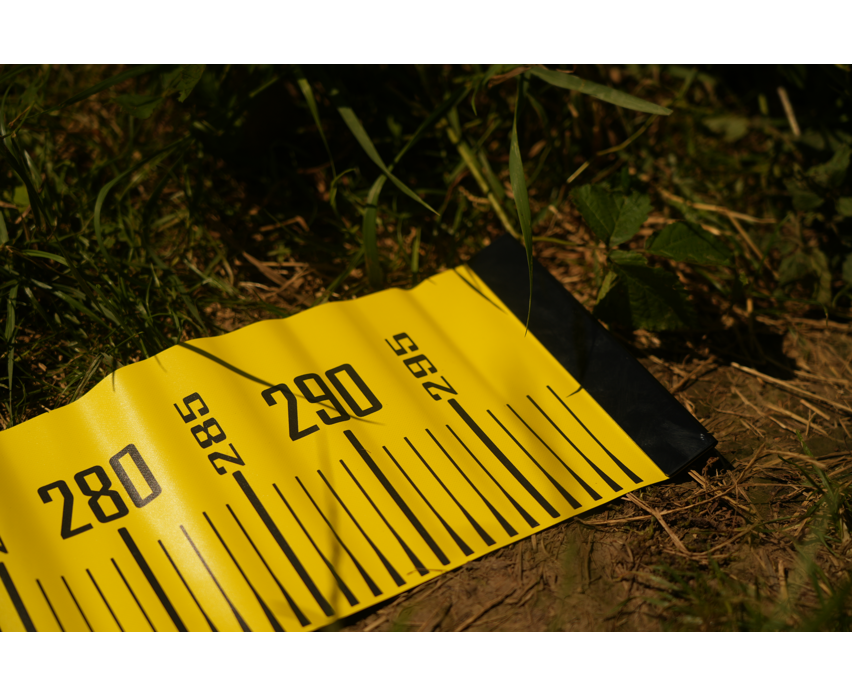 Black Cat Cat Measure