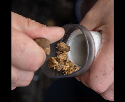 Avid Transfer PVA Mesh System