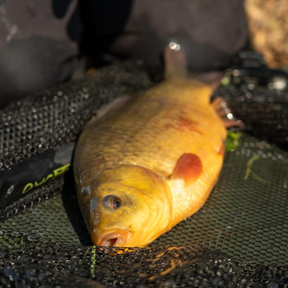 One More Cast iScream 6mm Soft Hookers